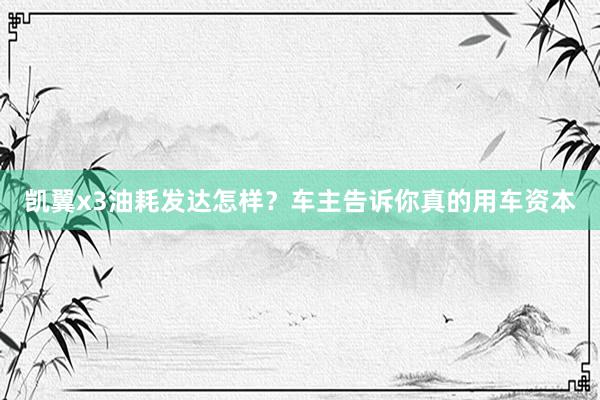 凯翼x3油耗发达怎样？车主告诉你真的用车资本